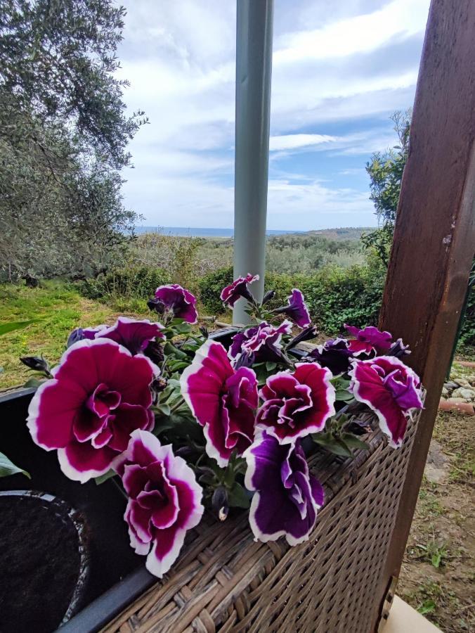 Anatolika Stamatis Paradise Dempla Eksteriør billede